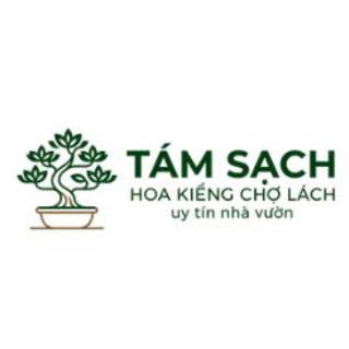 Tám Sạch