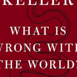 Read PDF What Is Wrong With the World?: 