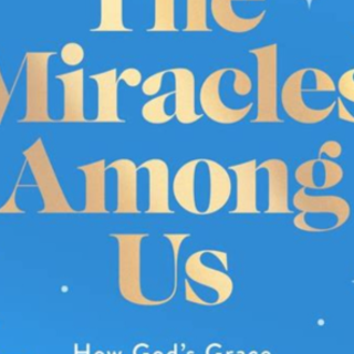Download Book The Miracles Among Us: How