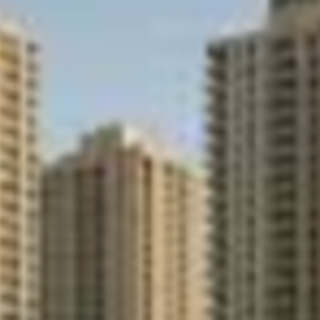 Purva Northern Lights