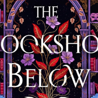 Get Free [PDF] The Bookshop Below by Geo