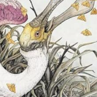 (PDF) Book Free Sacred Decay: The Art of