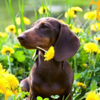 Download [PDF] Book Useless facts about 