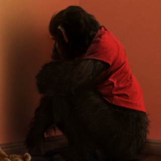 Primata (2025) Filme Dublado Online HD