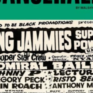 Get [PDF] Book Art of Dancehall: Flyer a