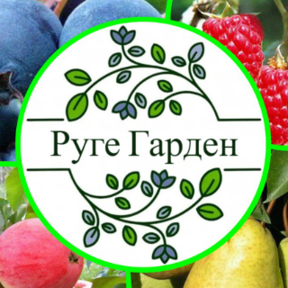 Руге Гарден