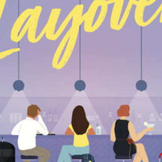 Download PDF The Layover by Beth Reekles