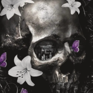 (PDF) Book Download Nocticadia by Keri L