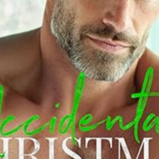 Get (PDF) Book Accidental Christmas Dadd