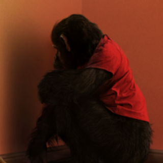 O Primata (2025) Filme Dublado Online HD