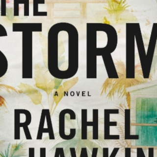 Read Free Book The Storm by Rachel Hawki