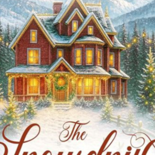 [PDF] Book Read Almost Christmas (Hearth