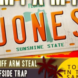 Get Book In a Pickle (Miami Jones Privat