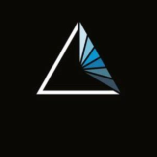 Download Book Dignity in Judgment: Const