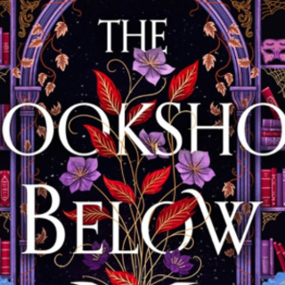 Read (PDF) Book The Bookshop Below by Ge