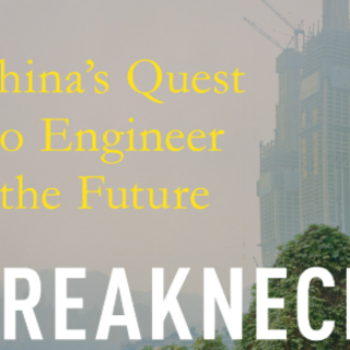 Read (PDF) Book Breakneck: China's Quest
