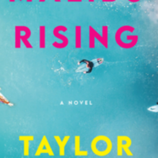 Read Book Malibu Rising by Taylor Jenkin