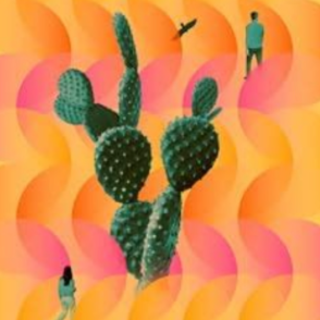 Read PDF Lightbreakers by Aja Gabel