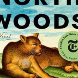 Read [PDF] Book North Woods by Daniel Ma