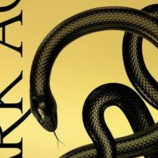 (PDF) Book Read Dark Age (Red Rising Sag