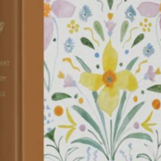 Read Free Book ESV Study Bible Artist Se