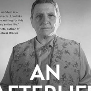 Read Book Gertrude Stein: An Afterlife b