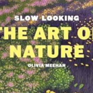 Download Book Slow Looking: The Art of N