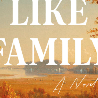 Download Free Book Like Family by Erin O
