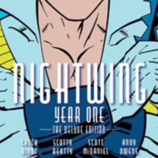 Download Free Book Nightwing: Year One D