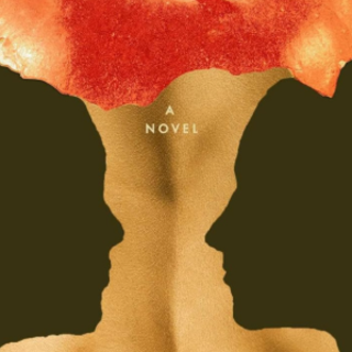 Get Free Book Flesh by David Szalay