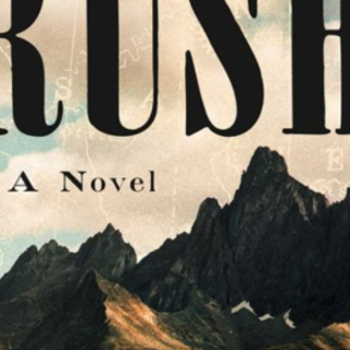 Get [PDF] Book The Rush: A Novel by Beth