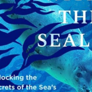Read [PDF] Book A Year with the Seals: U