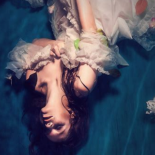 (PDF) Book Download The Millennium Wolve