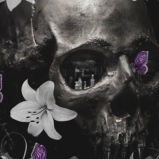 Read (BOOKPDF) Nocticadia by Keri Lake