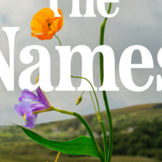 Get Free Book The Names by Florence Knap