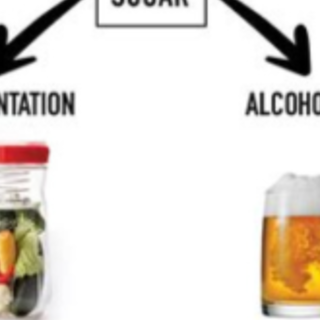 Download (PDF) Book The Science of Ferme