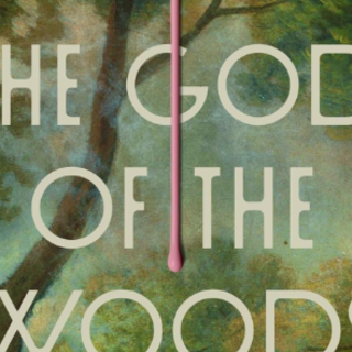 Read Book The God of the Woods by Liz Mo