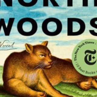 Read (PDF) Book North Woods by Daniel Ma
