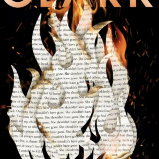 (PDF) Book Read The Ghostwriter by Julie