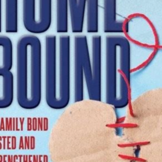 (PDF) Book Download Homebound: A Novel b
