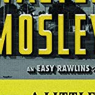 Read Free Book A Little Yellow Dog (Easy