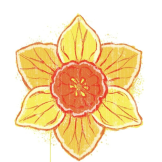 Get PDF The Sunshine Court (All For the 