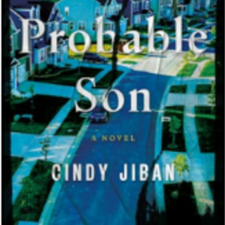 [PDF] The Probable Son: A Novel