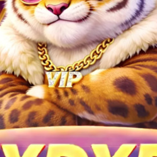 7XDXD