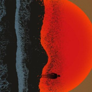 Read Book Flashlight by Susan Choi