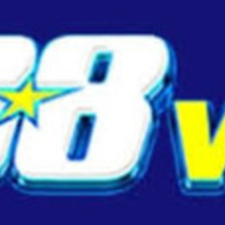 88VN