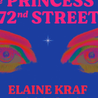 Read (BOOKPDF) The Princess of 72nd Stre