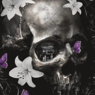 (PDF) Book Download Nocticadia by Keri L