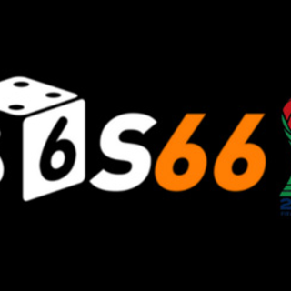 S66