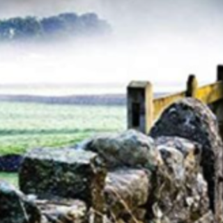 Read [PDF] Book Murder in York (Yorkshir